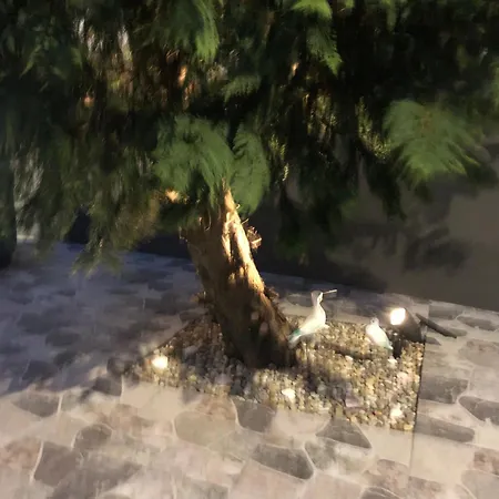 Casa De Vivian And Michael *