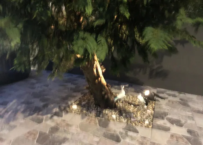 Casa De Vivian And Michael *